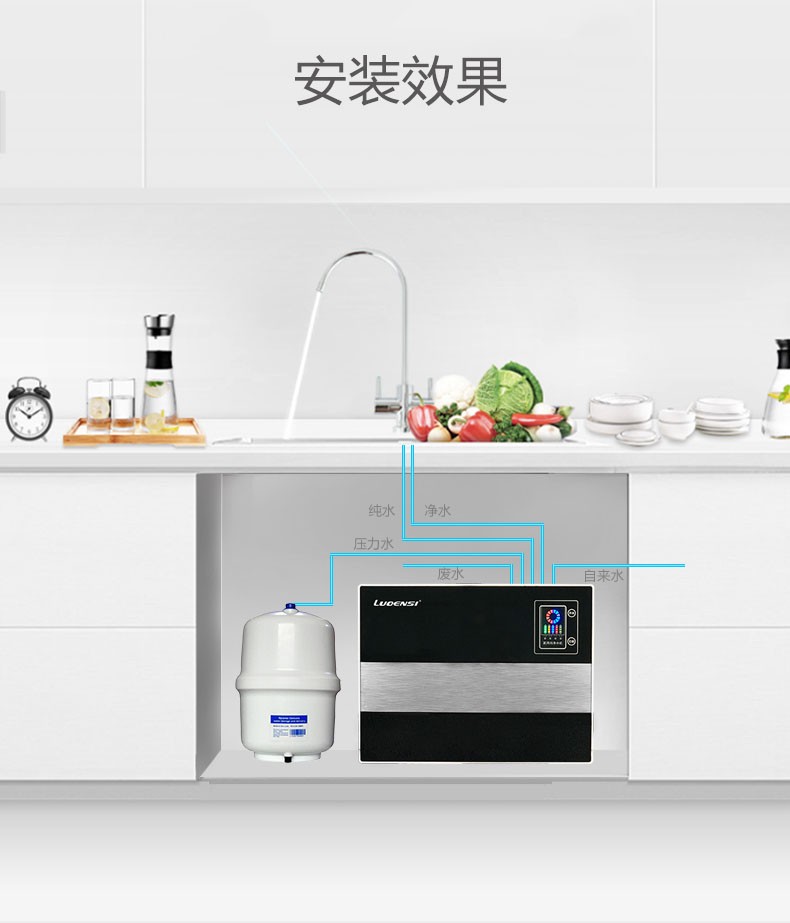洛恩斯纯水机LES-P9