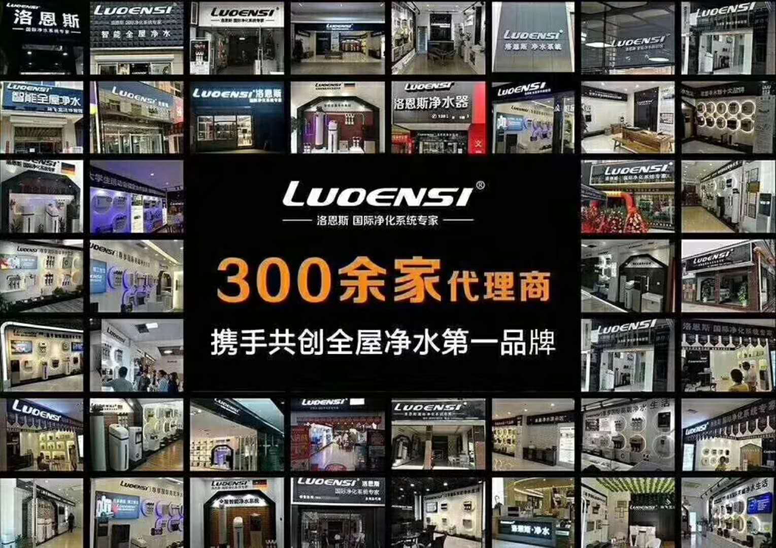 德国洛恩斯净水器