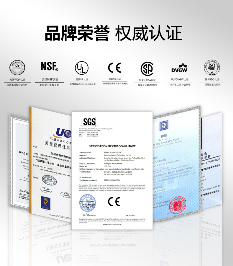 德国洛恩斯高端商务纯水一体机LES-2A30